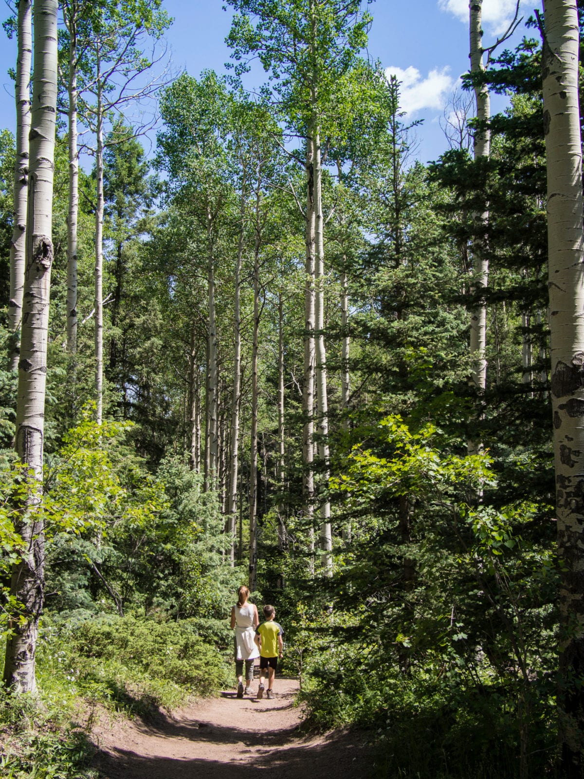 Devil's Head Trail Path Pike National Forest