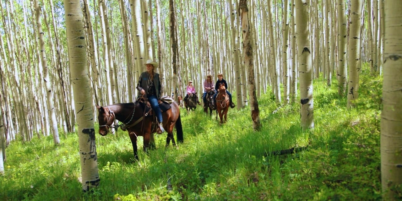 Elk Mountain Ranch Summer Dude Ranch Resort In Buena Vista Co