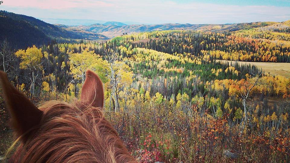 Elk River Guest Ranch Horseback Riding
