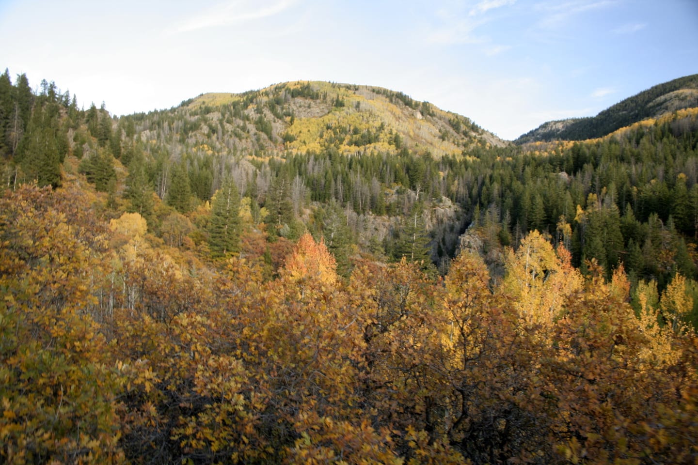 Fish Creek Falls Trail Colorful Fall Aspens
