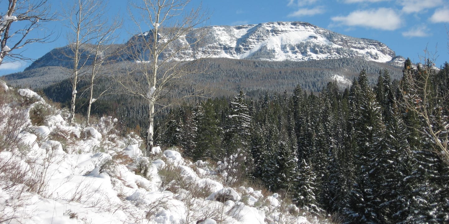 Flat Tops Wilderness Mountains Colorado