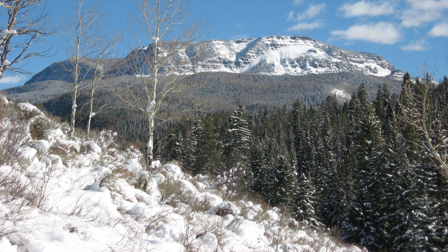 Flat Tops Wilderness Mountains Colorado
