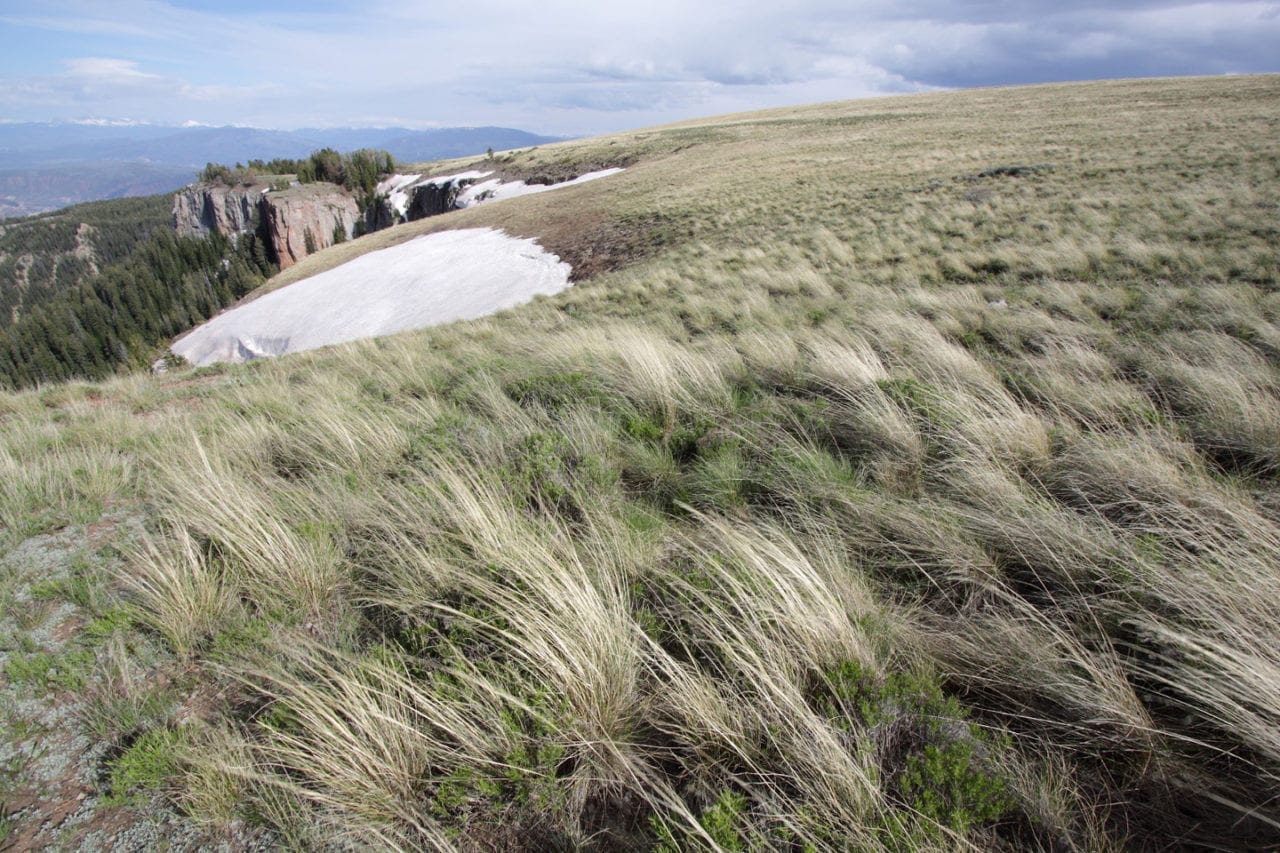 Flat Tops National Wilderness Area near Meeker, CO