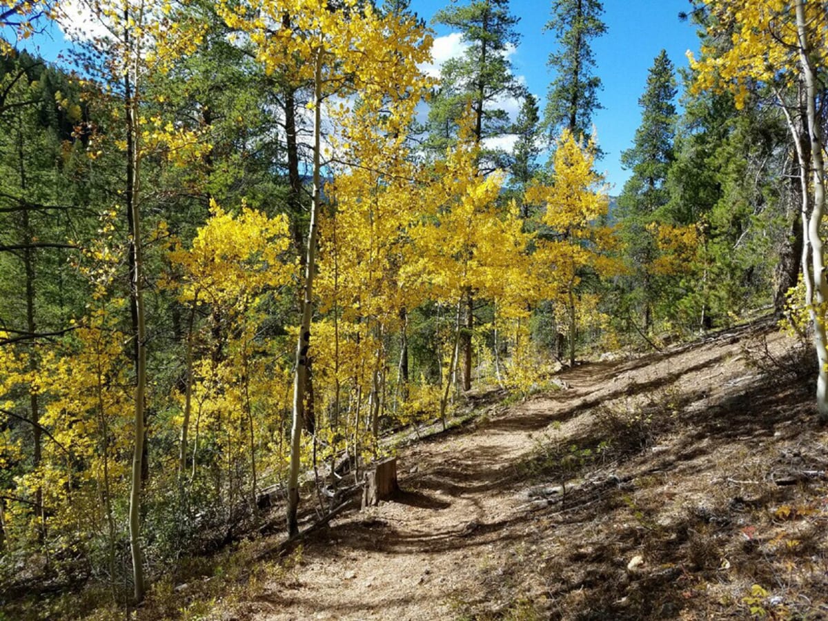 Fossil Ridge Wilderness Autumn Hiking Trail