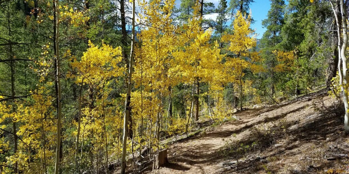 Fossil Ridge Wilderness Autumn Hiking Trail