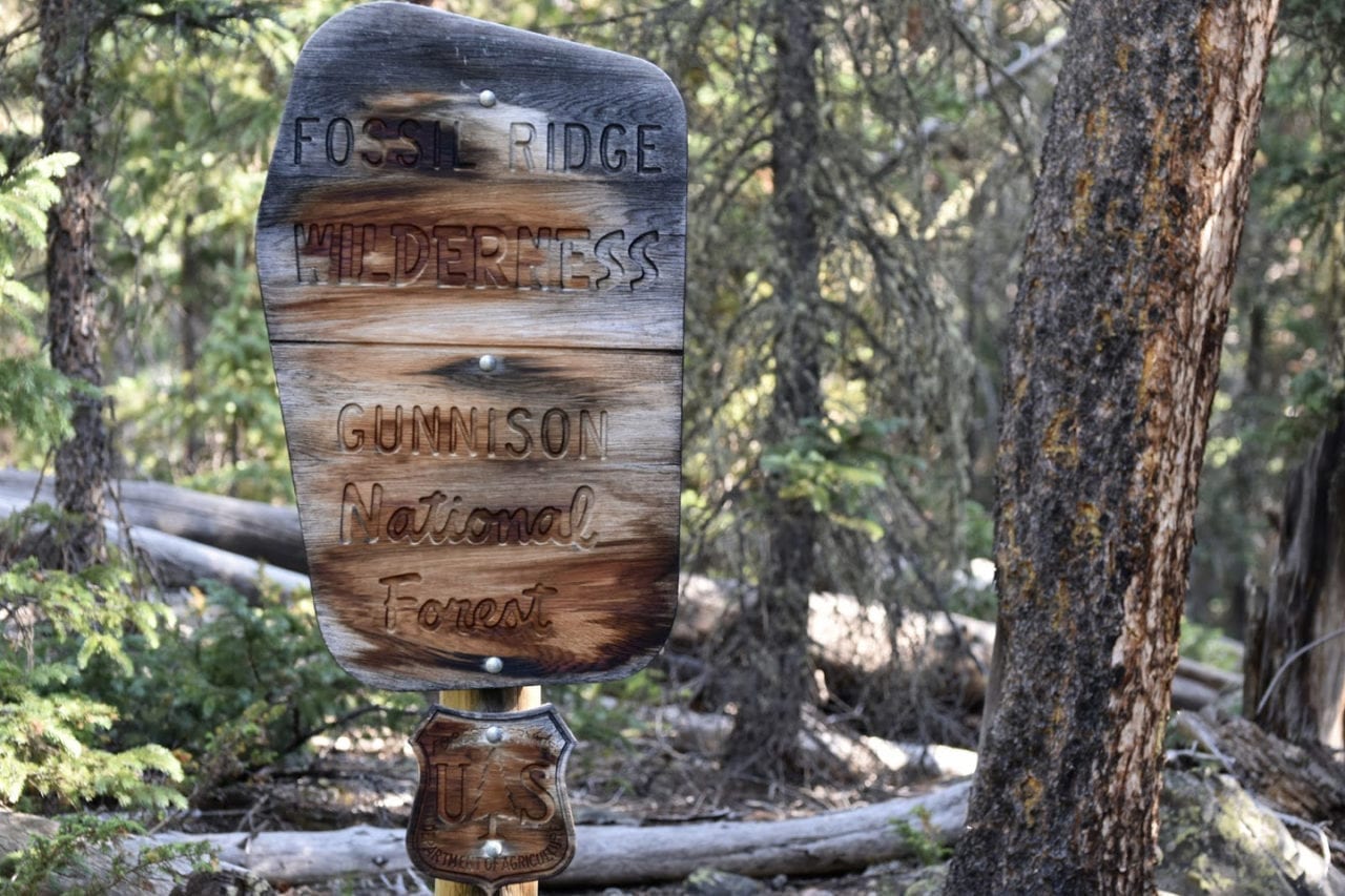 Fossil Ridge Wilderness National Wilderness Area near Gunnison, CO