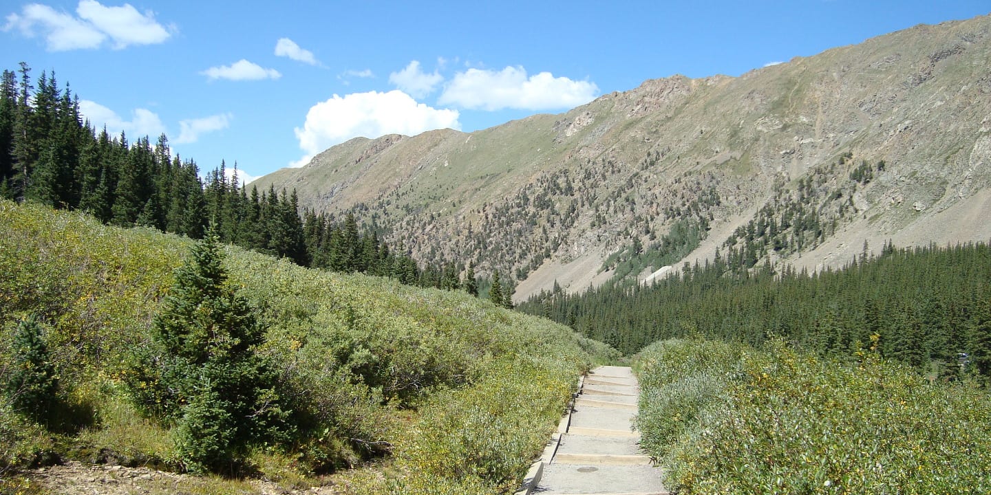 Grays Peak Trail Colorado Tree Line