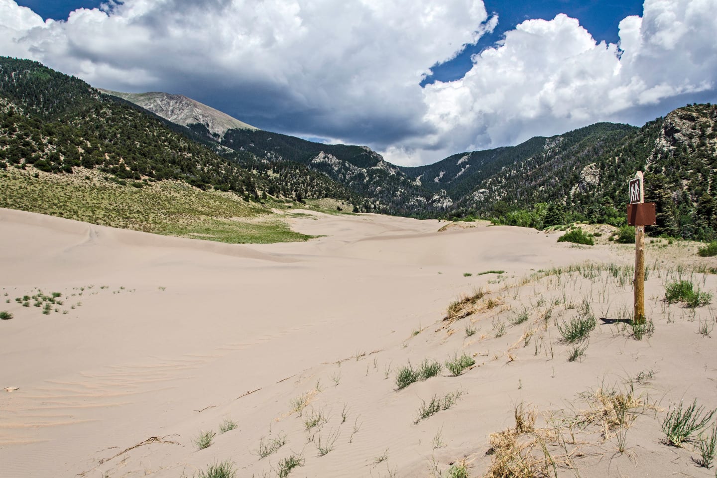 Great Sand Dunes Wilderness Trail Marker