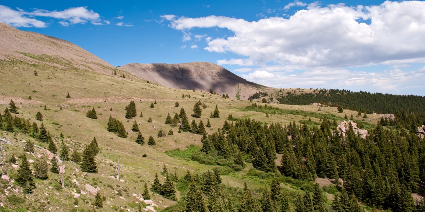 Greenhorn Mountain Wilderness Colorado