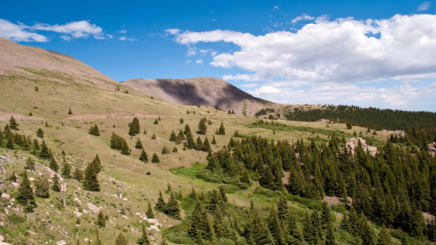 Greenhorn Mountain Wilderness Colorado