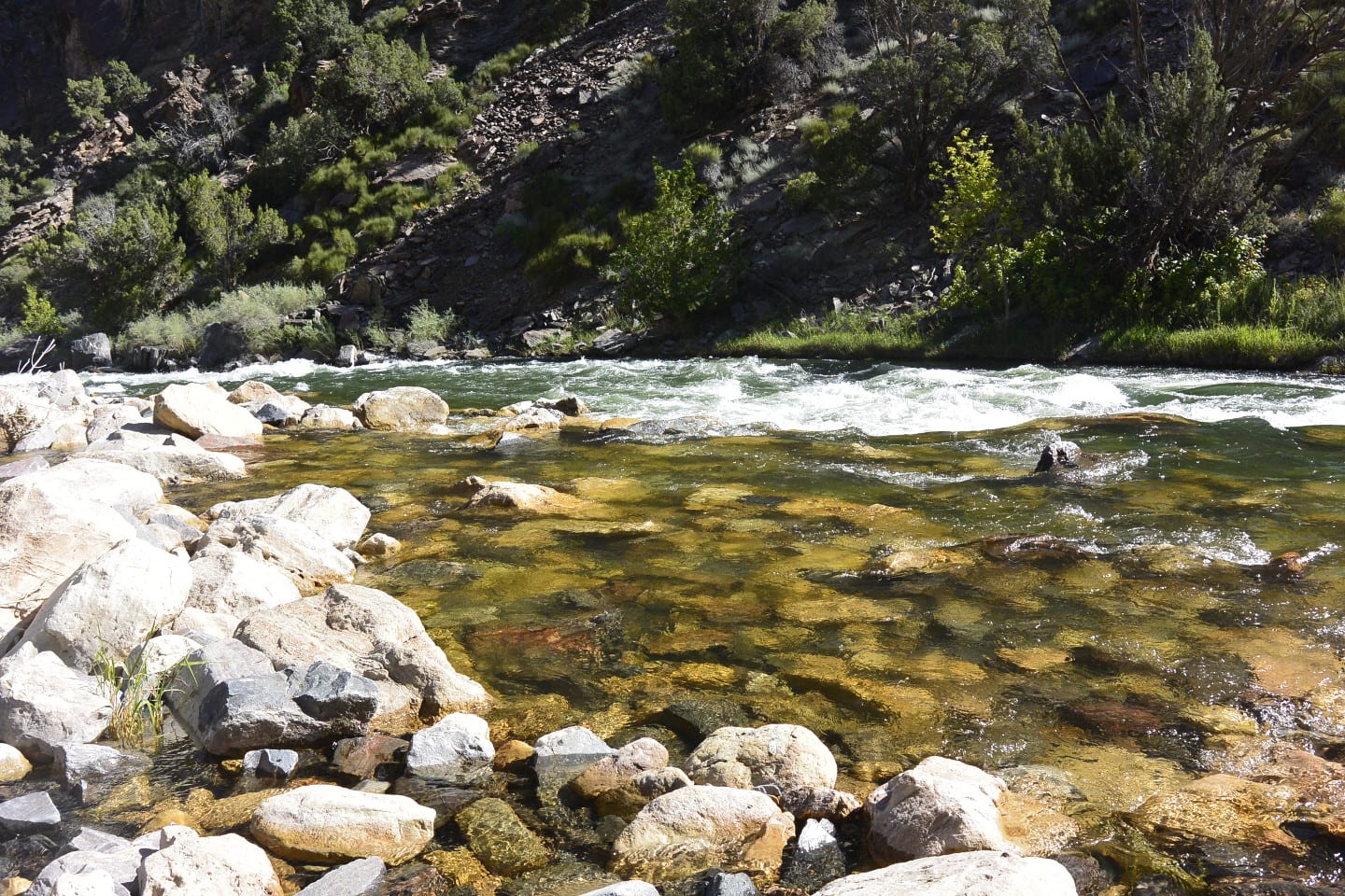 Gunnison Gorge Wilderness River