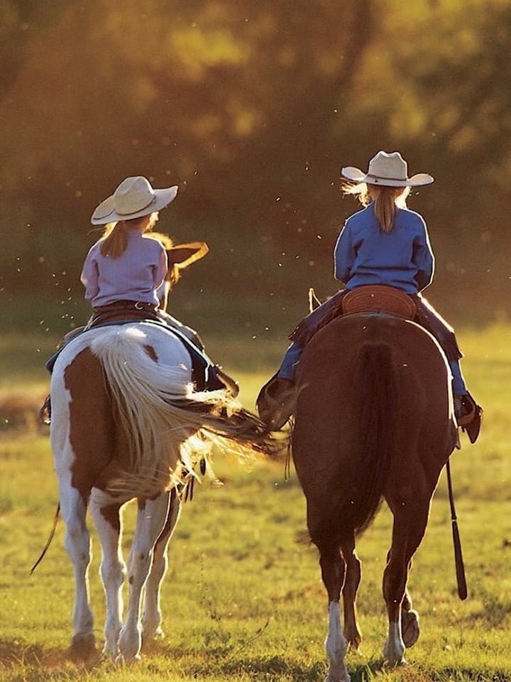 High Lonesome Ranch Horseback Riding Debeque