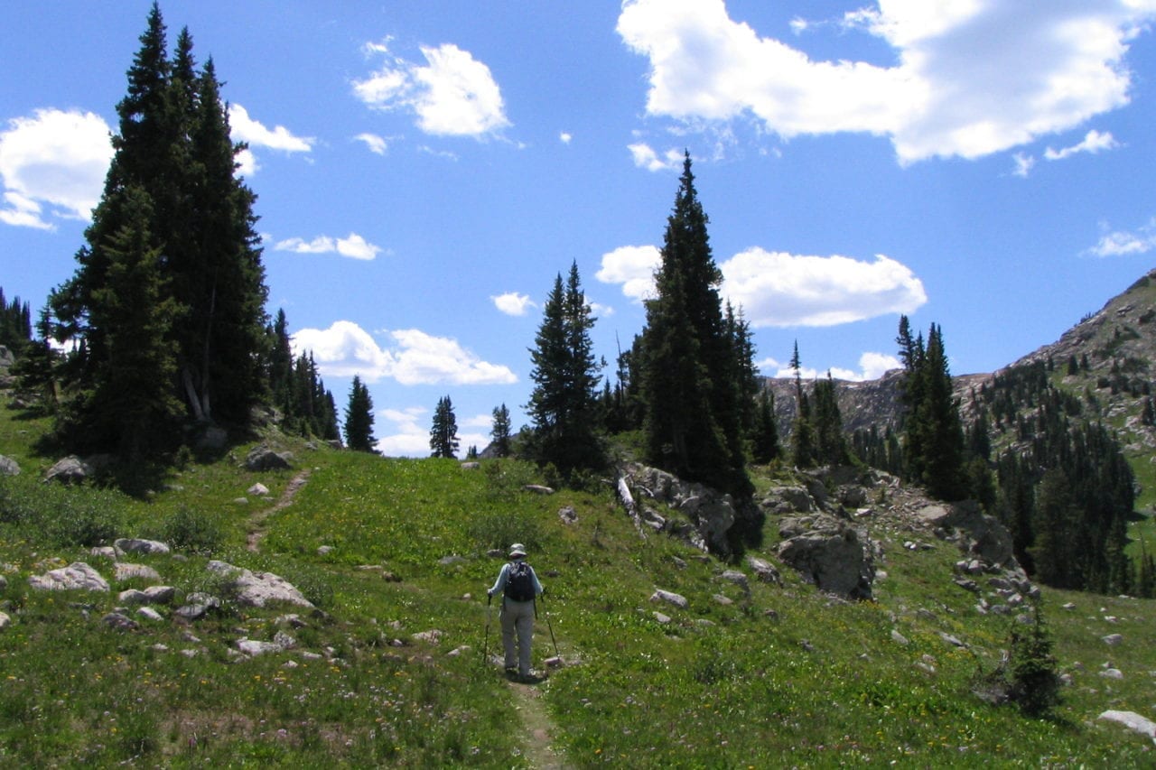 Holy Cross National Wilderness Area near Vail, CO White River and