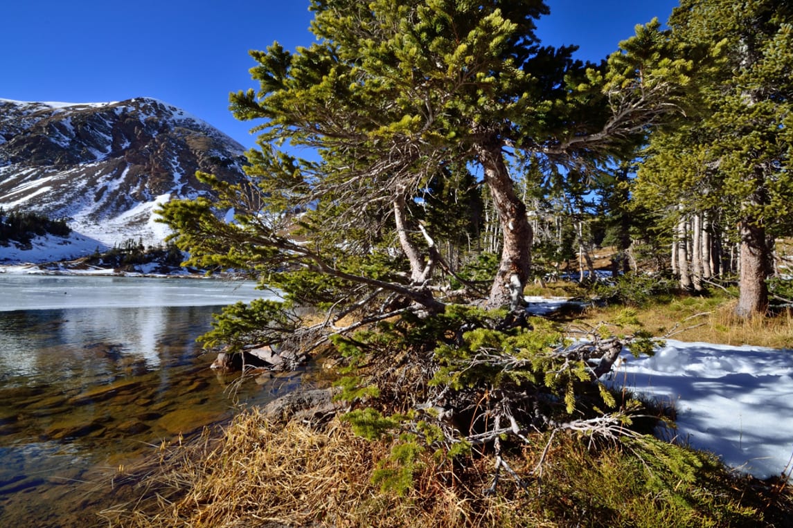 Indian Peaks Wilderness Rogers Peak