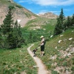 James Peak Wilderness Hiking Dog