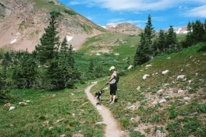 James Peak Wilderness Hiking Dog