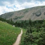 James Peak Wilderness Trail Path
