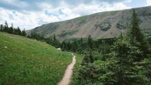 James Peak Wilderness Trail Path