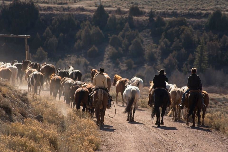 Latigo Ranch Horseback Riding Kremmling