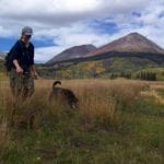Lizard Head Wilderness Dog Hike