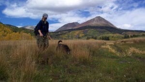 Lizard Head Wilderness Dog Hike