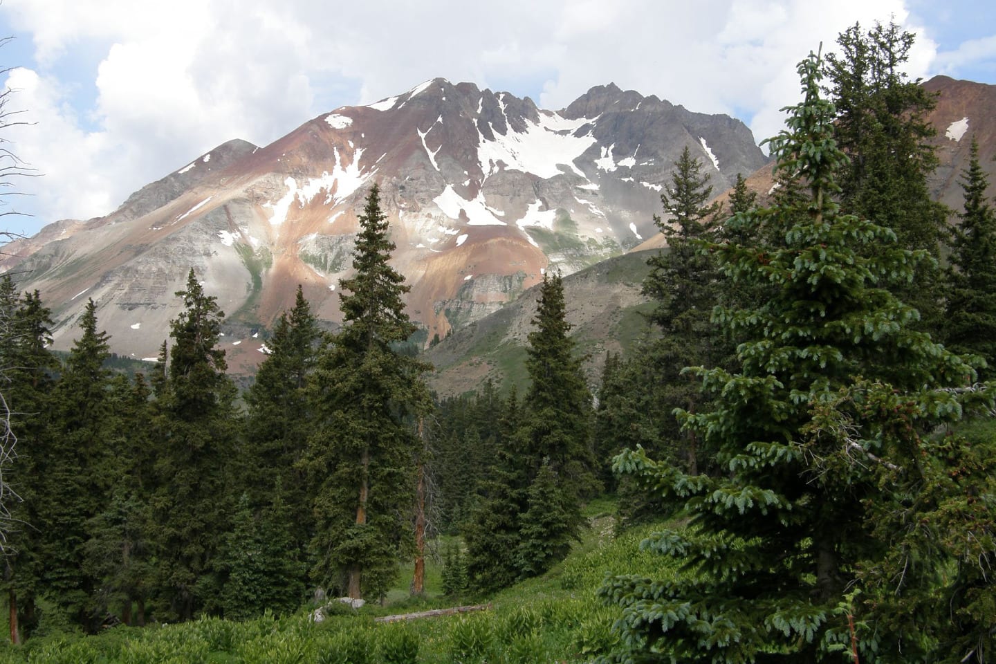 Lizard Head Wilderness Valley Colorado