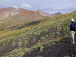 Lizard Head Wilderness Cross Peak Colorado