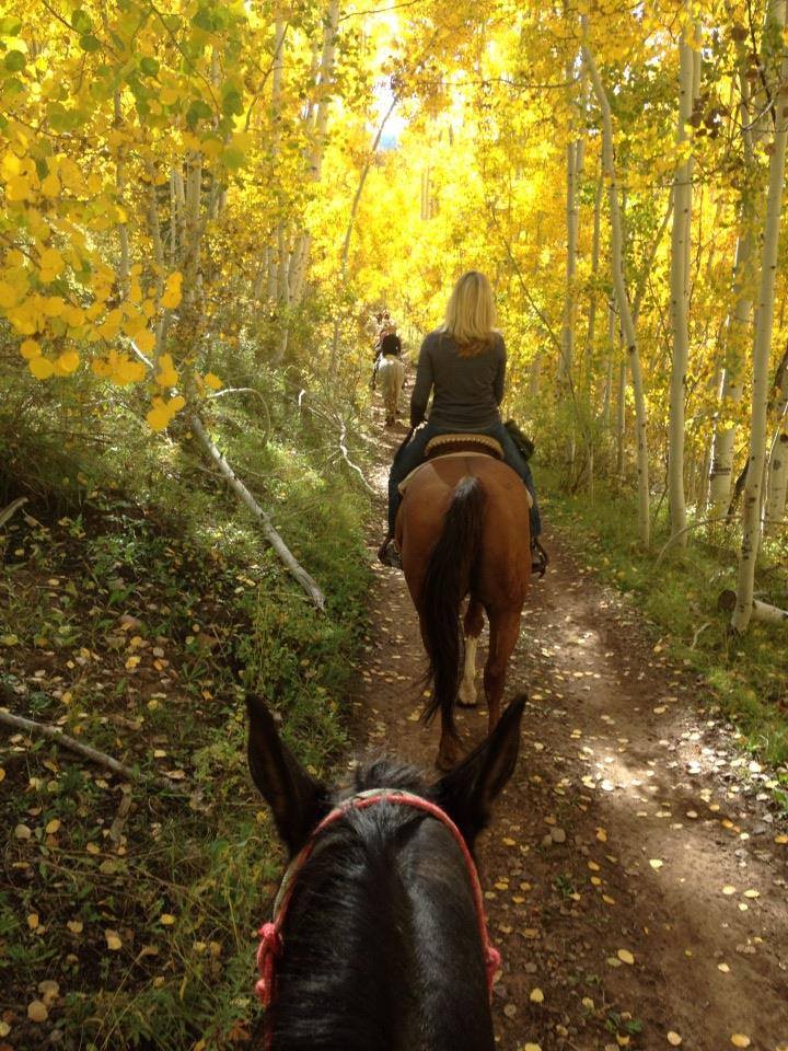 Majestic Dude Ranch Horseback Riding Mancos