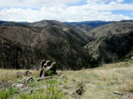 Mount McConnel National Recreation Trail Colorado