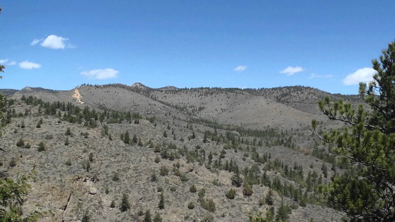 Mount McConne Trail Laporte, CO Hiking