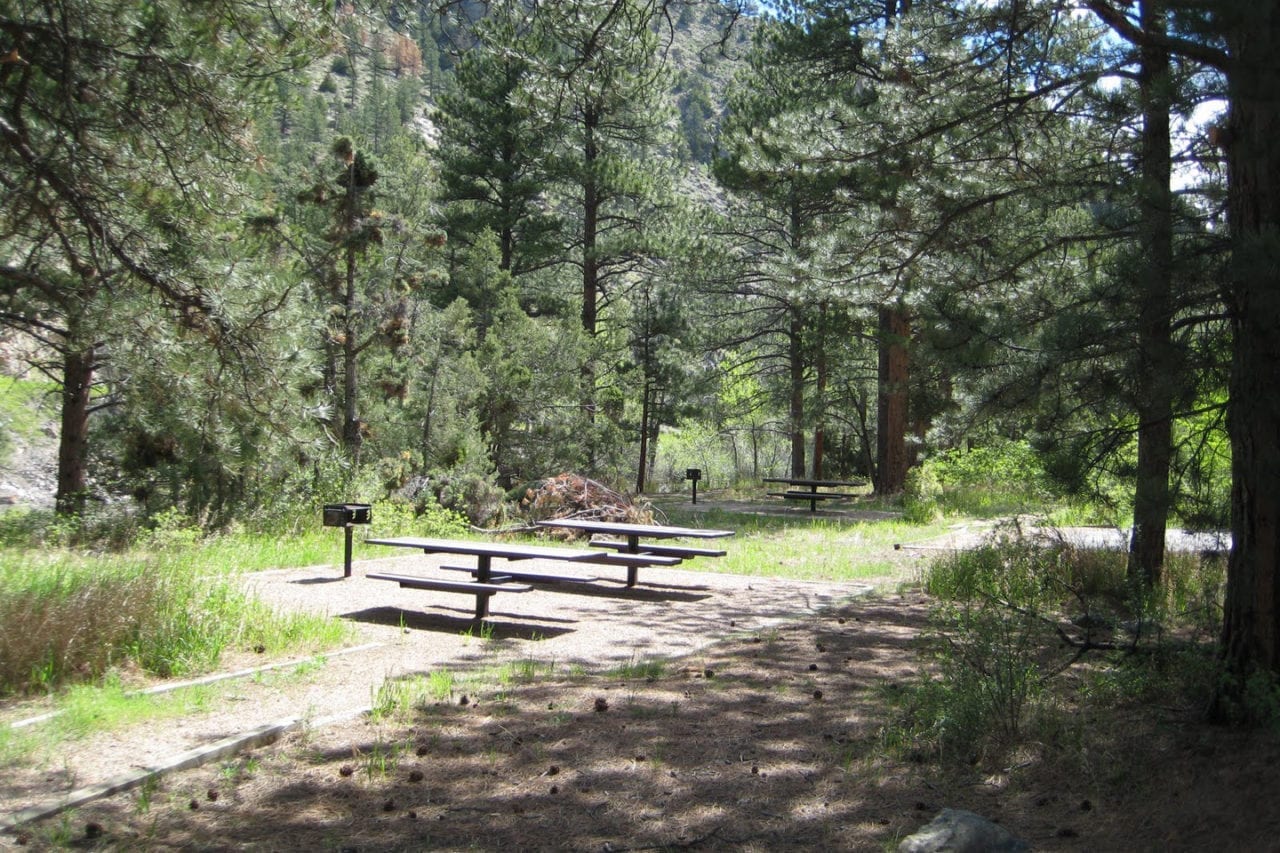 Mount McConne Trail Laporte, CO Hiking