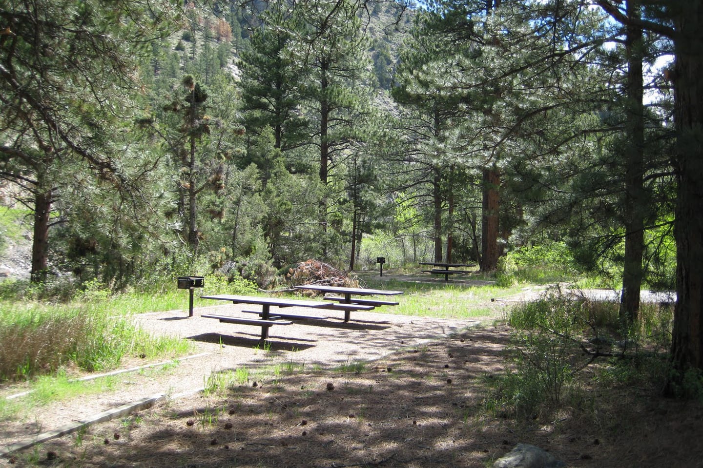 Mount McConnel Trail Picnic Area