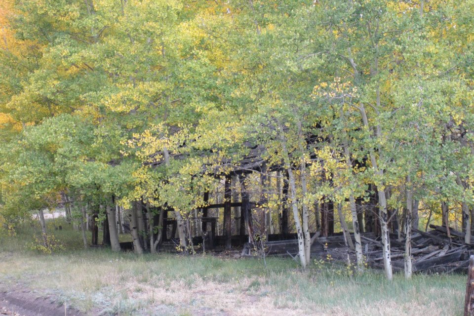 Tarryall River Ranch Old Horse Corral