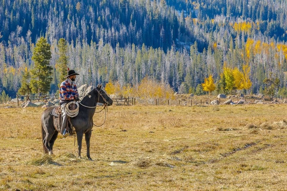 Vista Verde Guest Ranch Horseback Riding