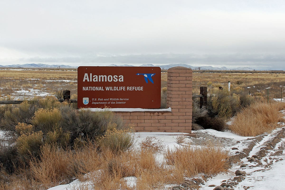 Alamosa National Wildlife Refuge Colorado