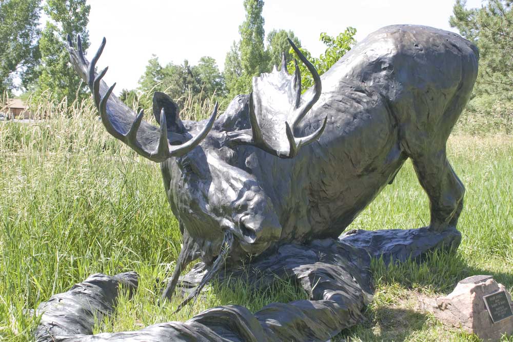 Benson Park Sculpture Garden