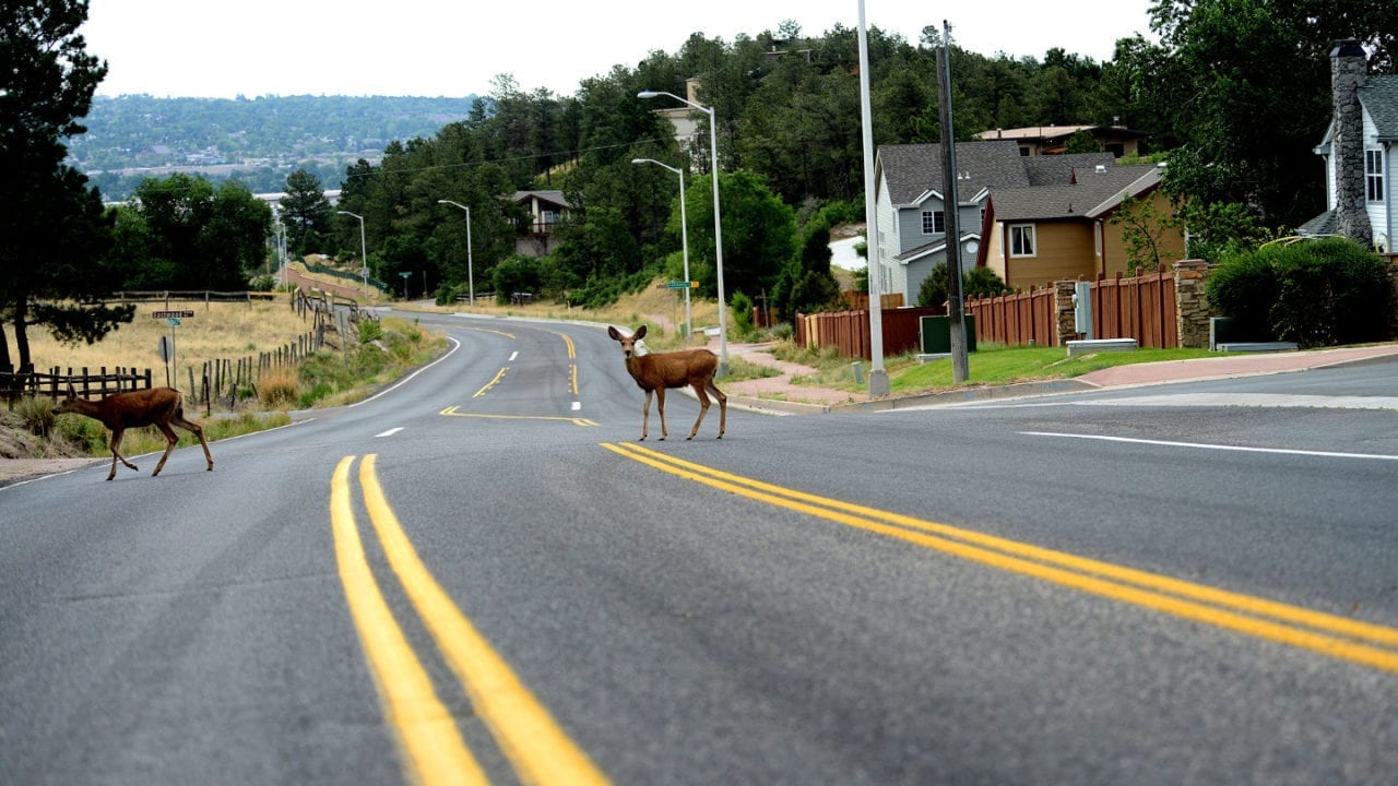 Safely Drive Colorado’s Mountain Roads