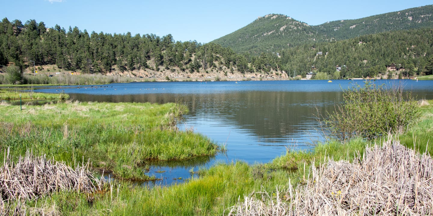 Evergreen Lake Marshlands Colorado