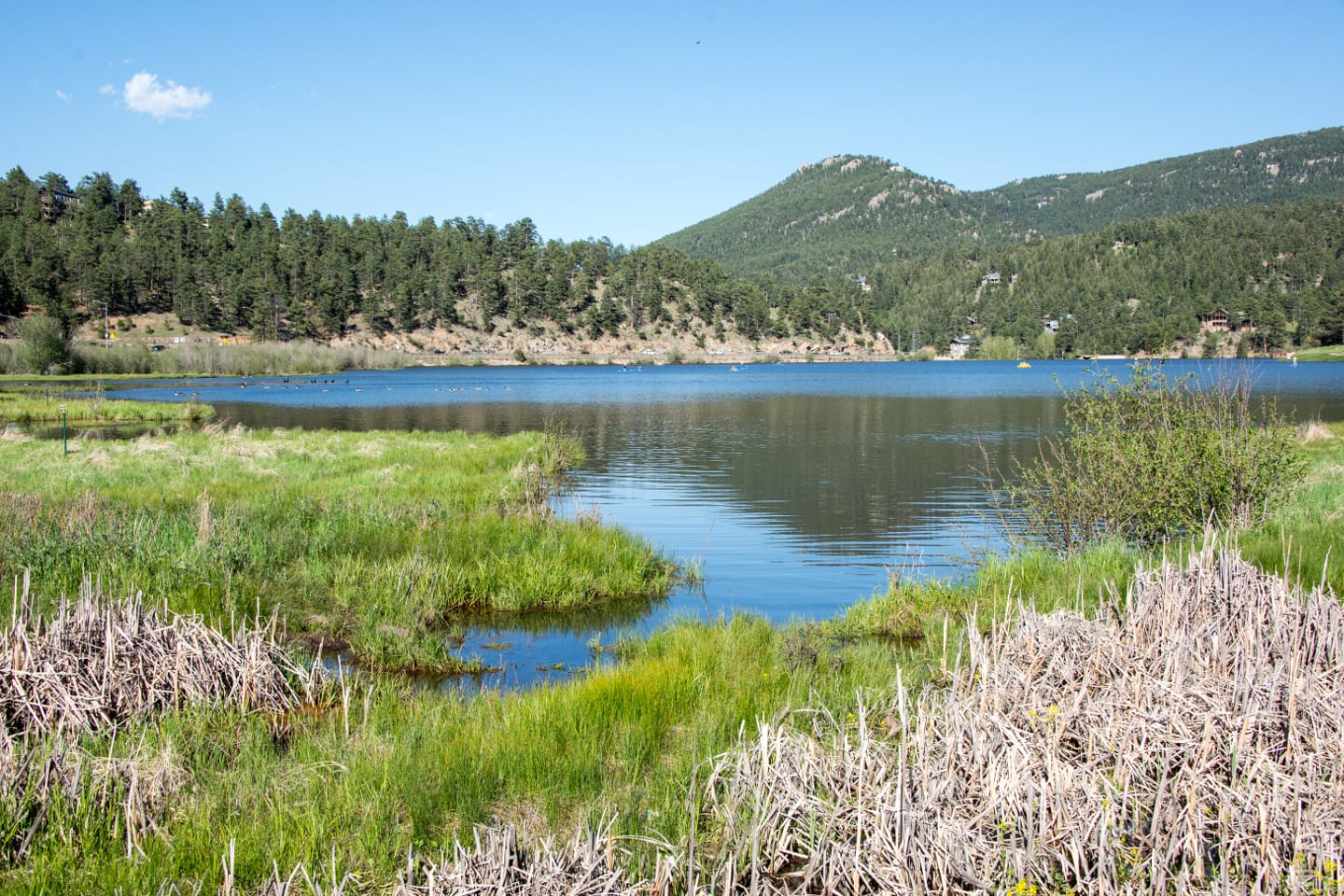 Evergreen Lake Marshlands Colorado
