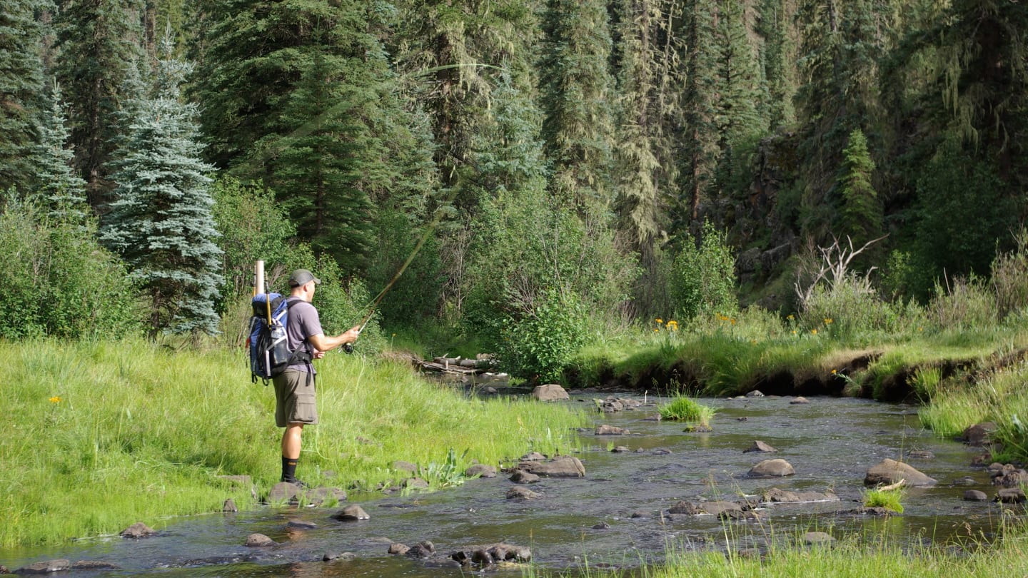 Fly Fishing Trout Little Colorado River Arizona