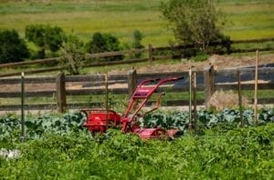 Community Garden Chatfield Botanic Gardens Colorado