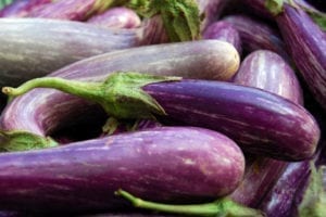 Gardening Eggplant Harvest