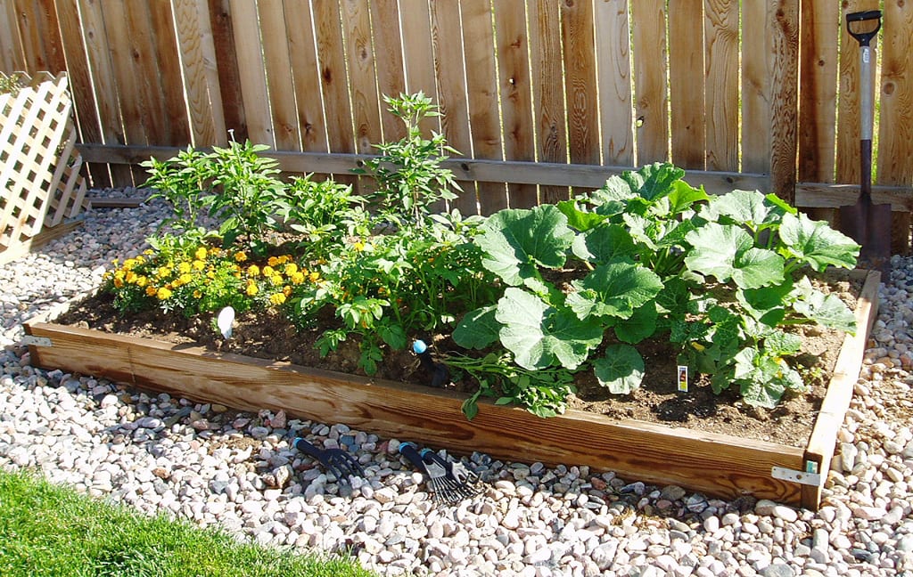 Vegetable Gardening in a Small Space