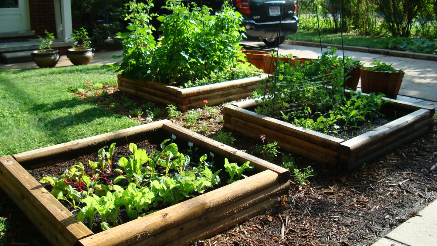 Raised Vegetable Garden Beds Raised Garden Bed Beds Vegetable Plans ...