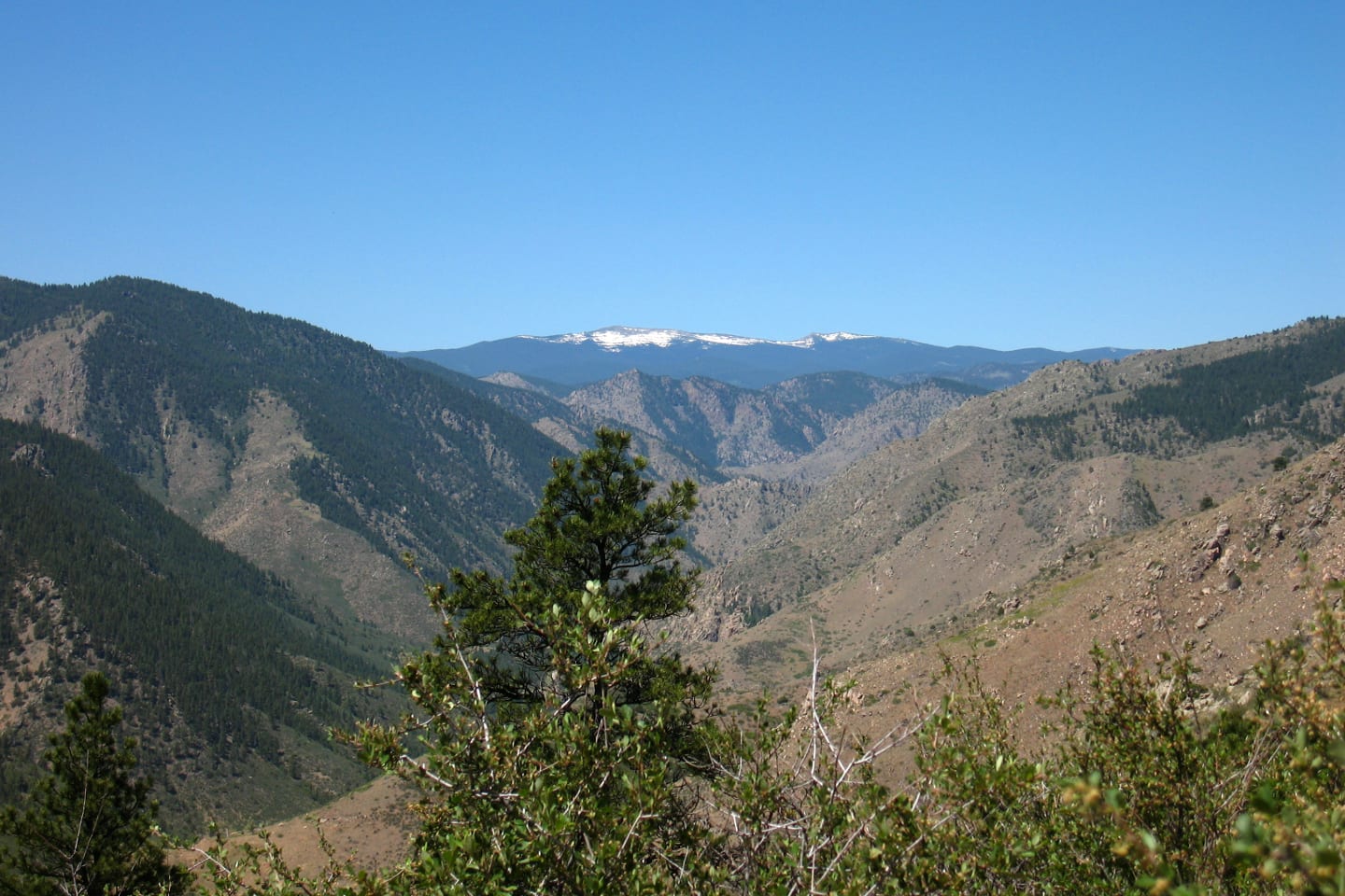 Greyrock Meadows Trail Colorado