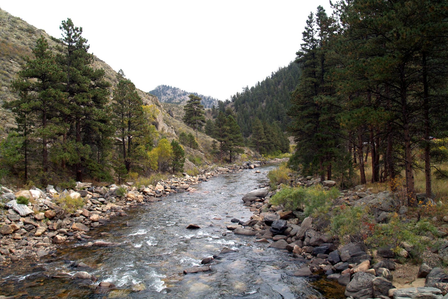 Poudre River Downstream View Greyrock Bridge