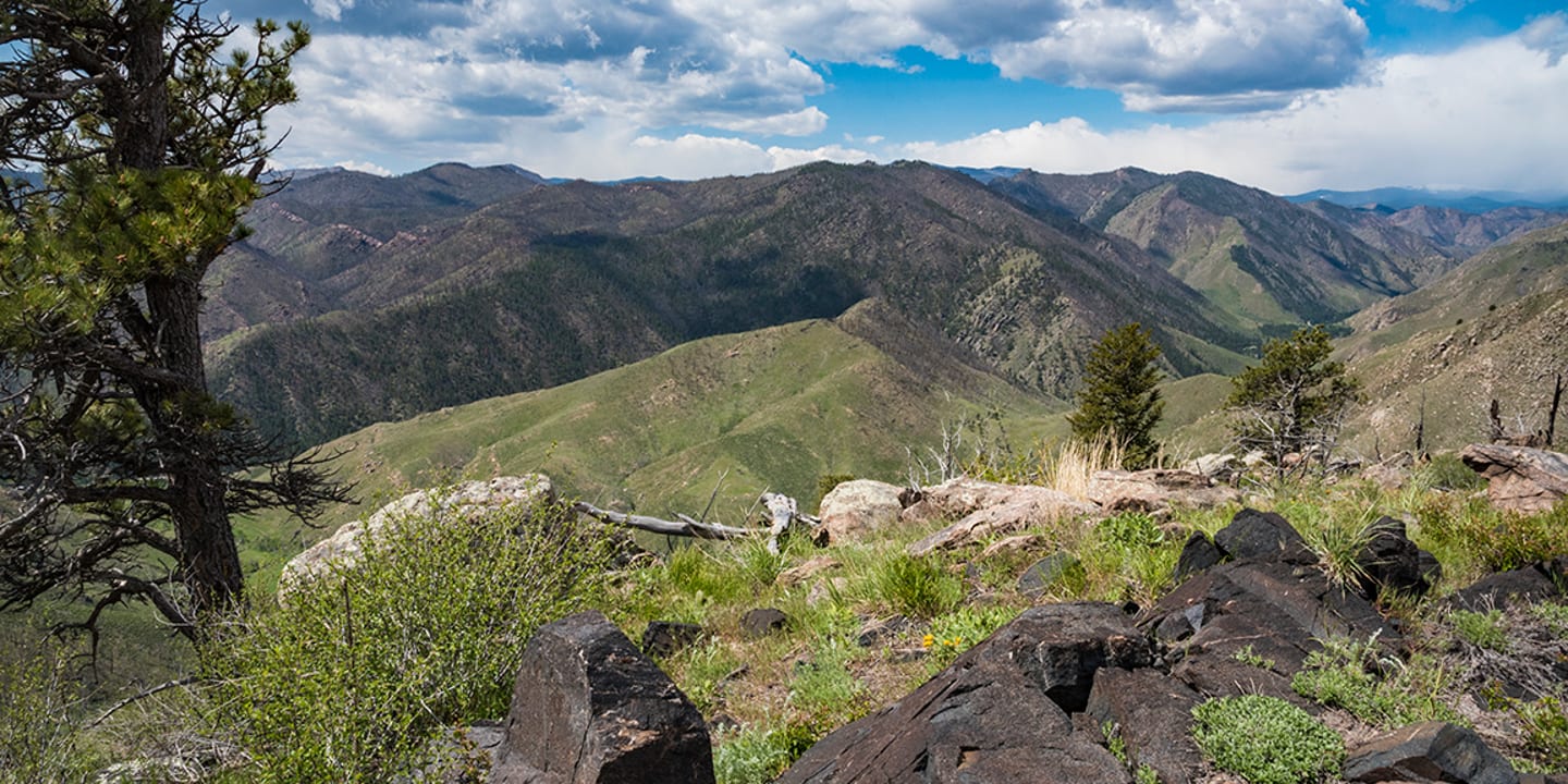 Greyrock Trail Laporte Colorado