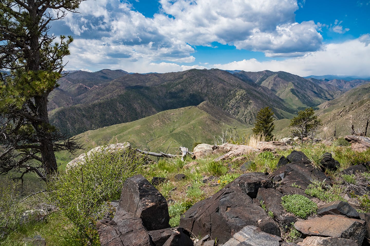 Greyrock Trail Laporte Colorado