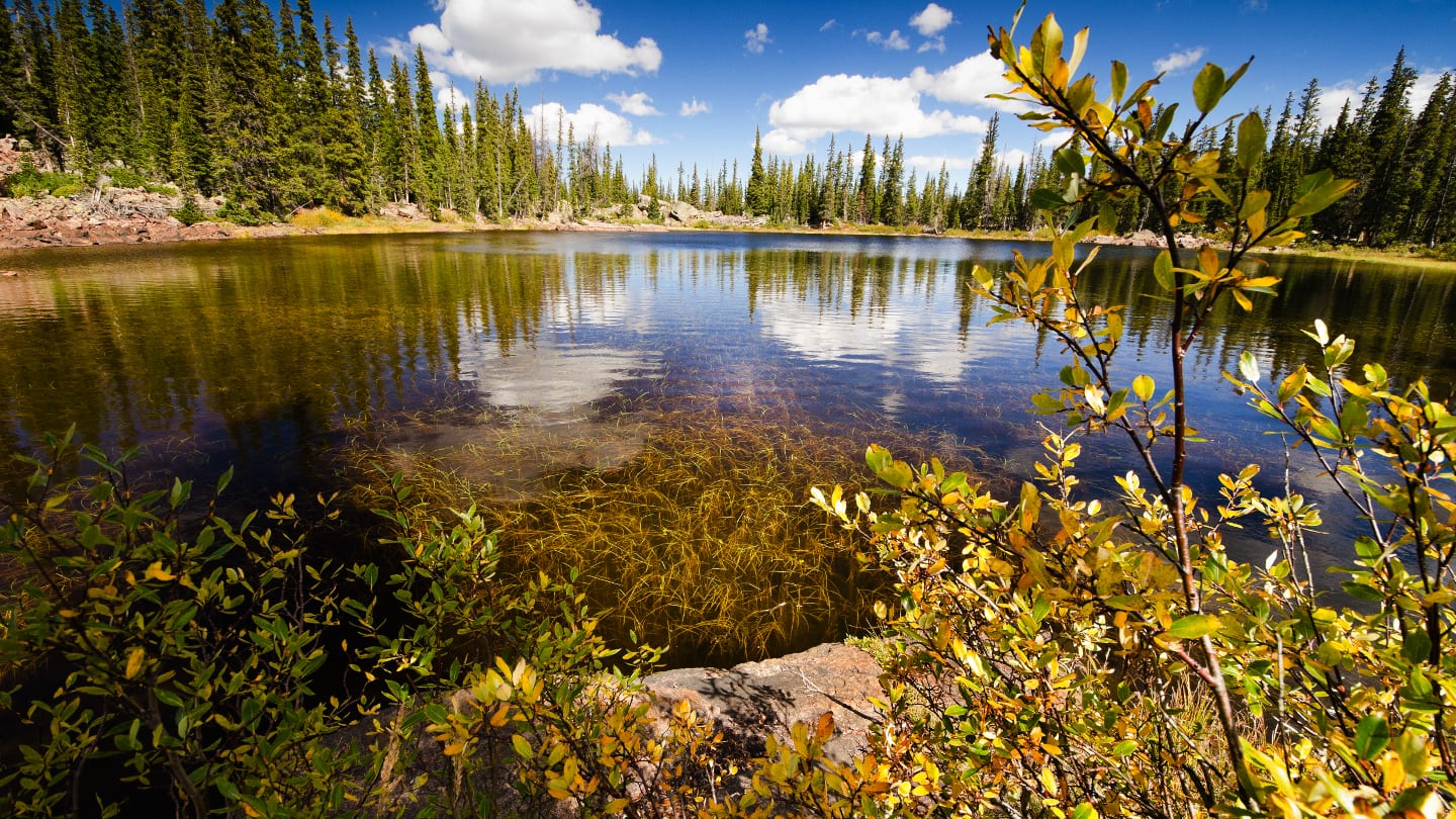 Hiking Eaglesmere Lakes Colorado Autumn