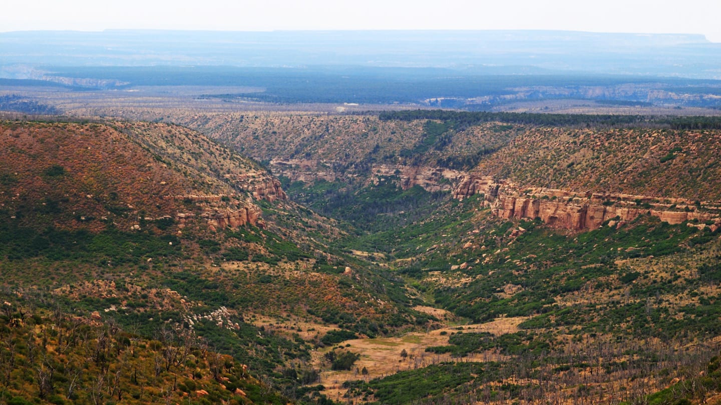 Mesa Verde National Wilderness Area